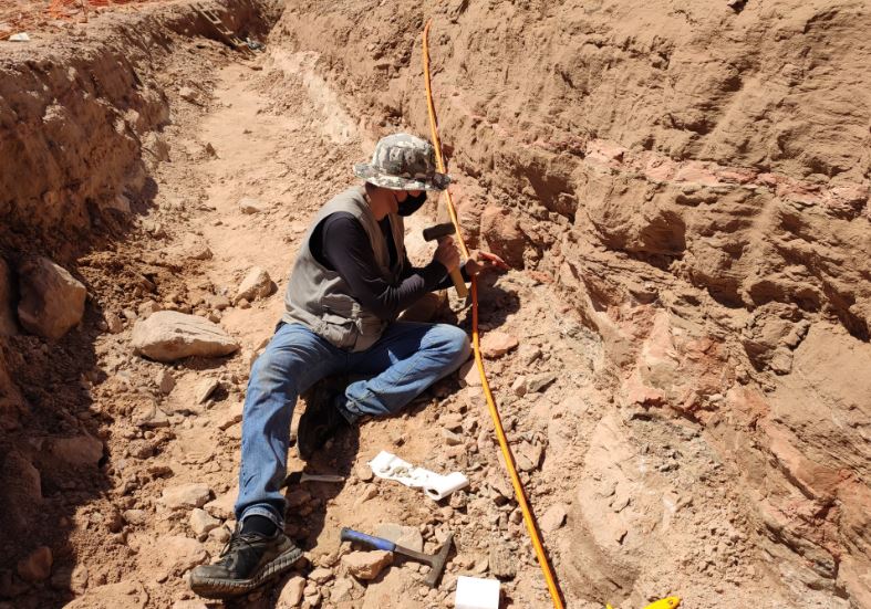 Fósseis de dinossauros são achados em obras na SP-294