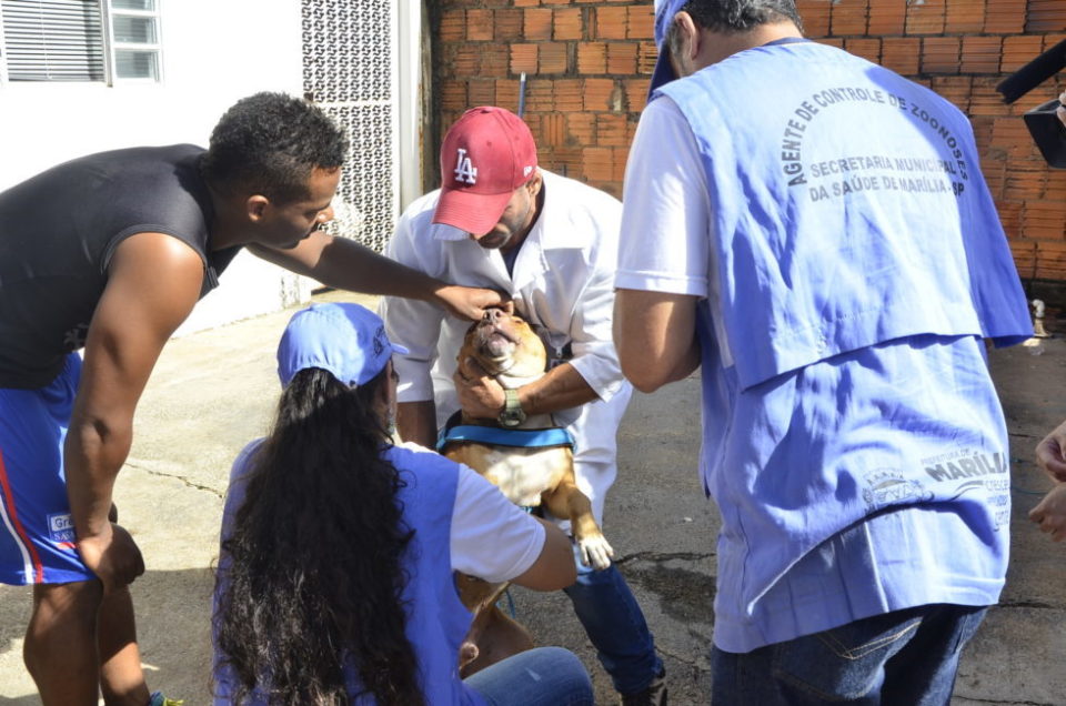 Cidade reduz transmissão de leishmaniose e segue sem casos