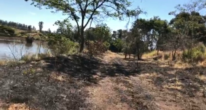 Suposto incêndio criminoso queima 600 árvores plantadas na represa Cascata