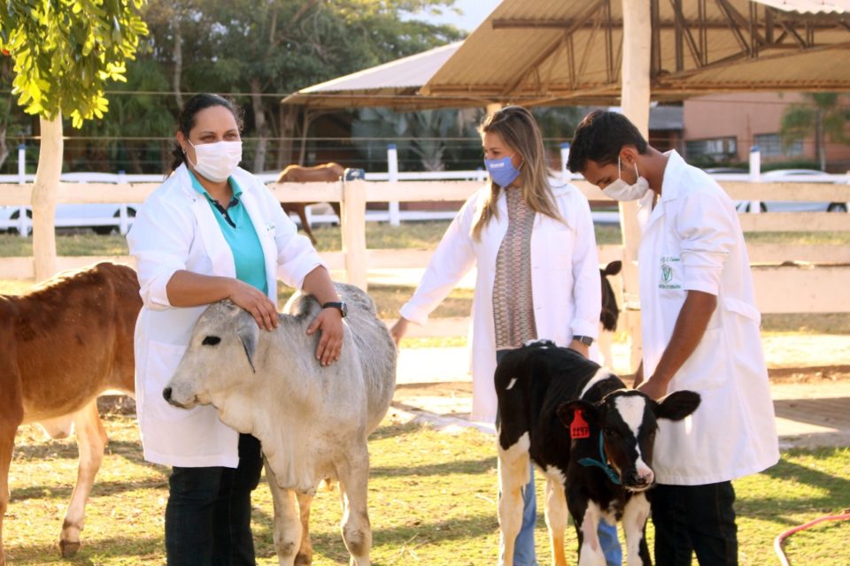 Unimar promove simpósio com participação do exterior