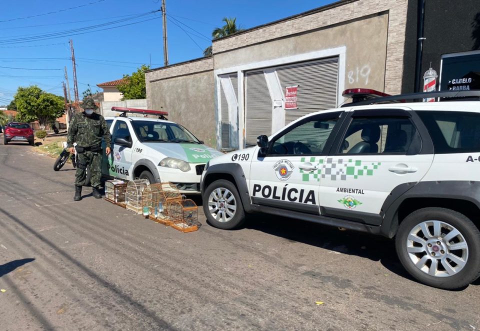 Morador é multado em mais de R$13 mil por manter aves em cativeiro