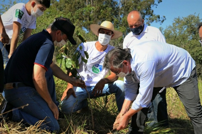 Prefeitura intensifica plantios de árvores e recupera nascentes