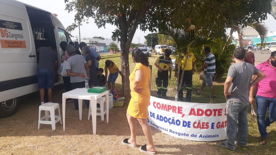 Marília segue com feiras de adoção de animais aos domingos