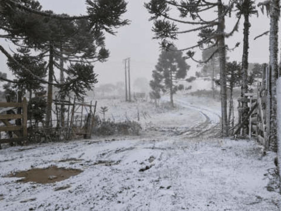 Sul do Brasil tem 3 dias seguidos de neve pela 1ª vez desde 2000