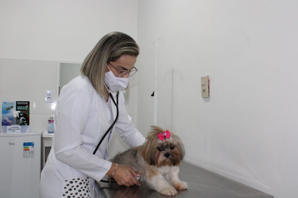 Referência em cuidado animal, Planet Pet tem nova unidade