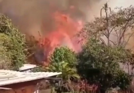 Incêndio de grande proporção ameaça casas em Oriente