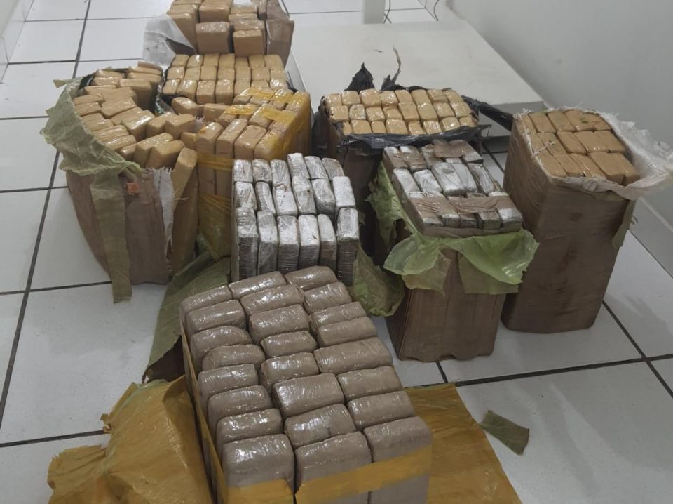 Ações da Dise detêm quatro por tráfico de drogas