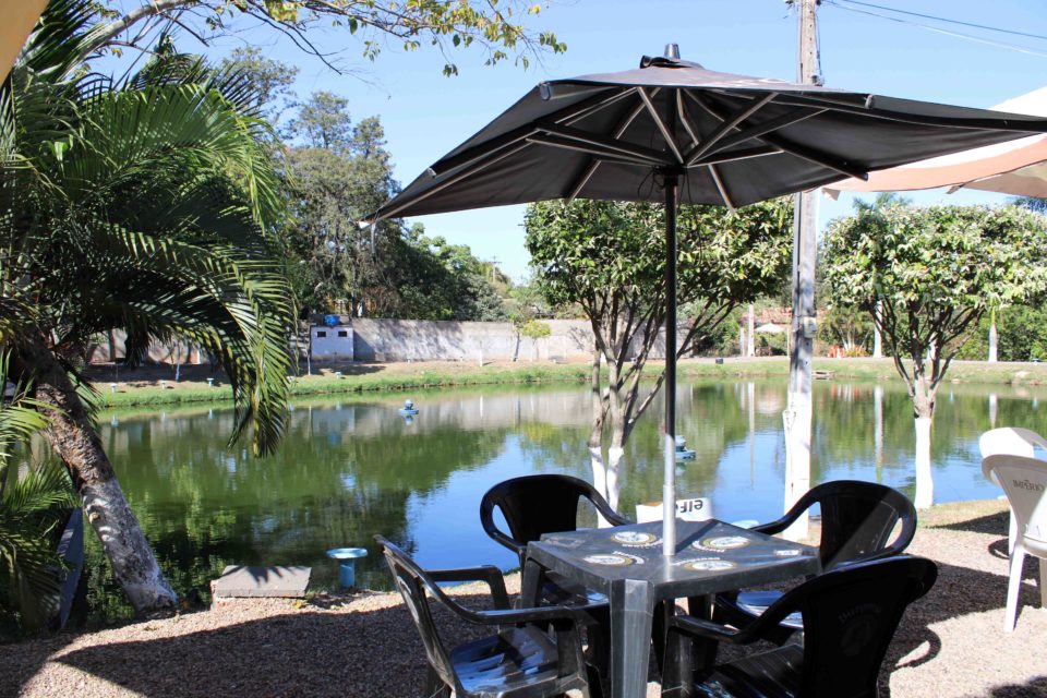 Bar do Lago oferece contato com a natureza dentro da cidade