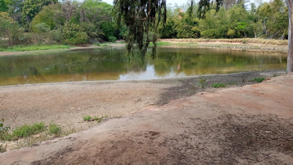 Lago do Aquarius quase seca com estiagem em Marília