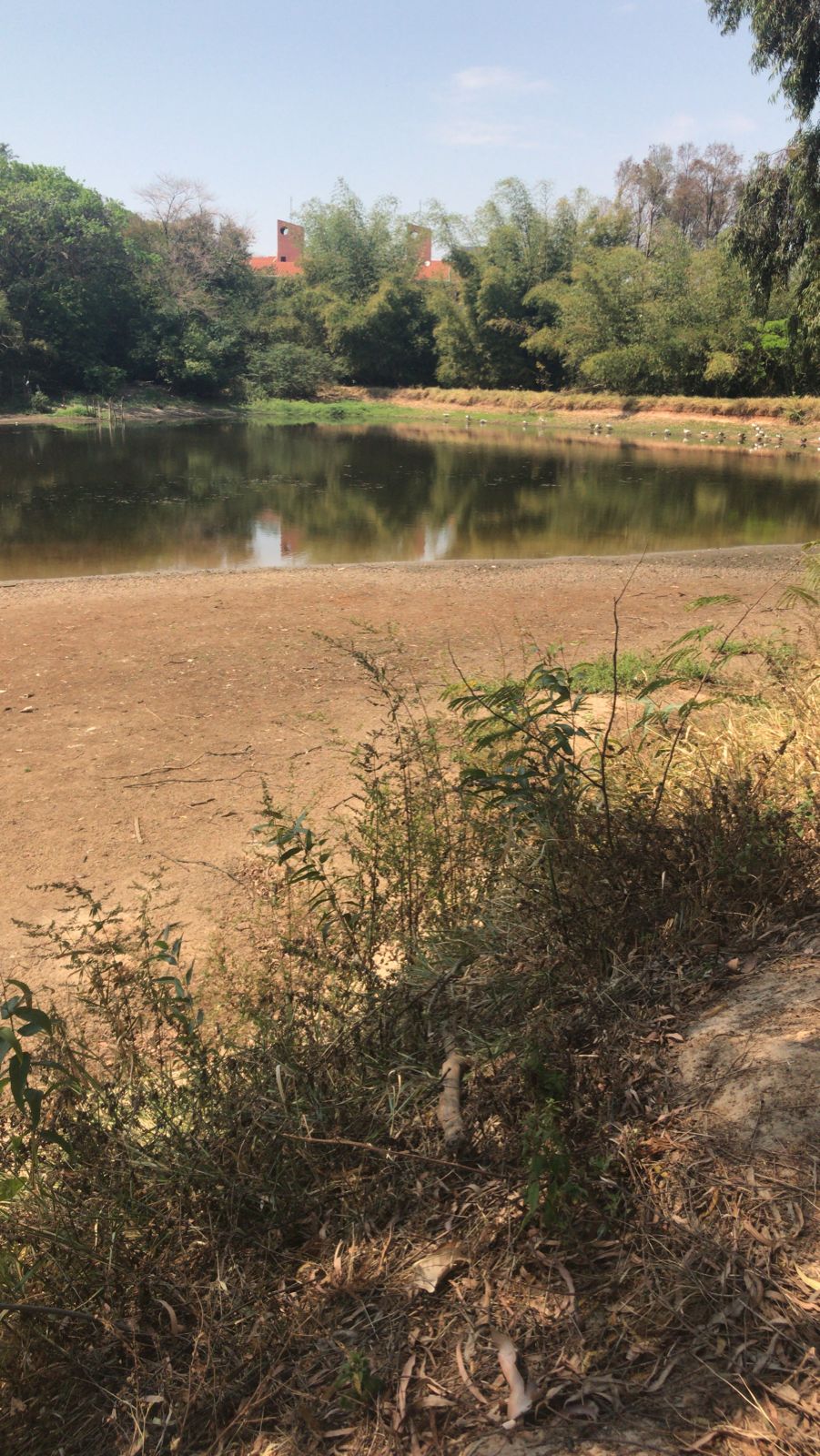 Lago do Aquarius quase seca com estiagem em Marília