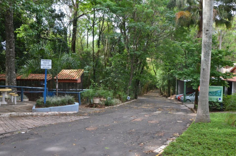 Prefeitura confirma recurso para incremento do Bosque e Museu