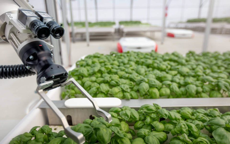 Bill Gates agora aposta em robôs ‘agricultores’
