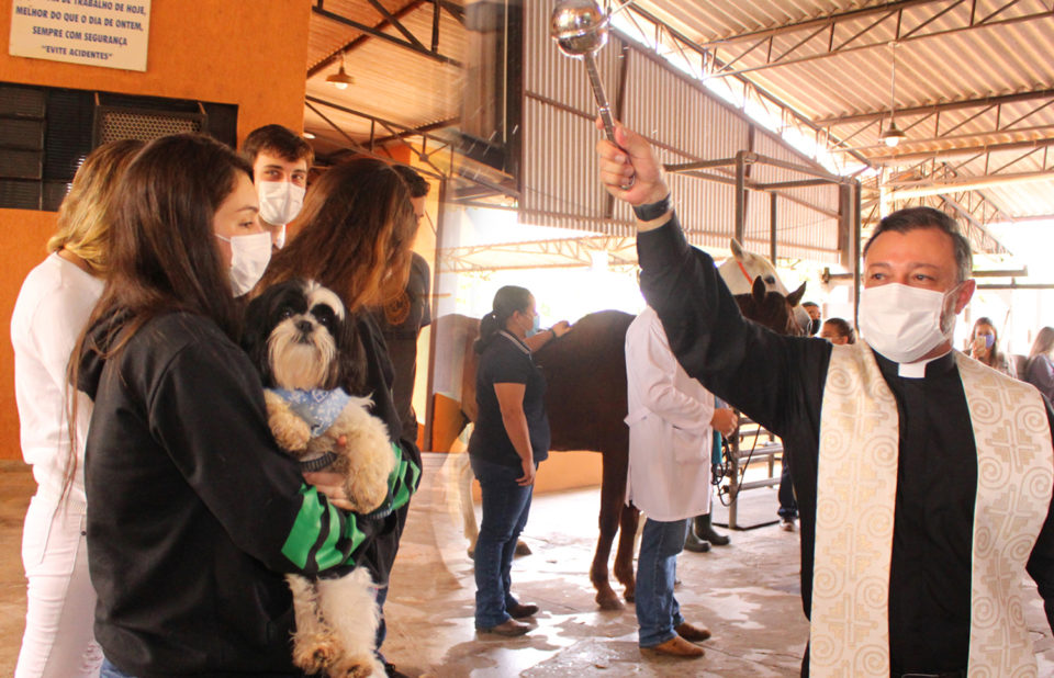 Tradicional bênção aos animais é realizada na Unimar