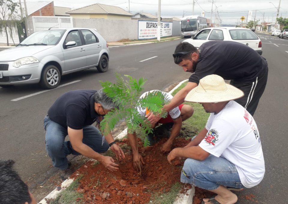 Servidores plantam árvores em avenida de Nóbrega