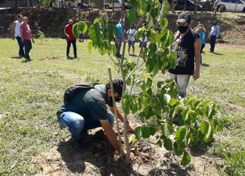 ‘Minha Cidade é Verde’ recebe apoio e Marília ganha Bosque das Flores