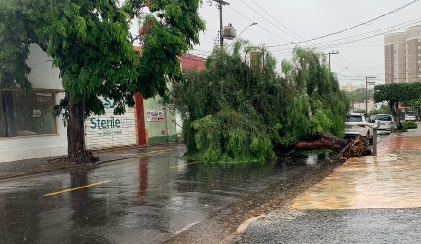 Primeira chuva do mês traz alento e quebra estiagem