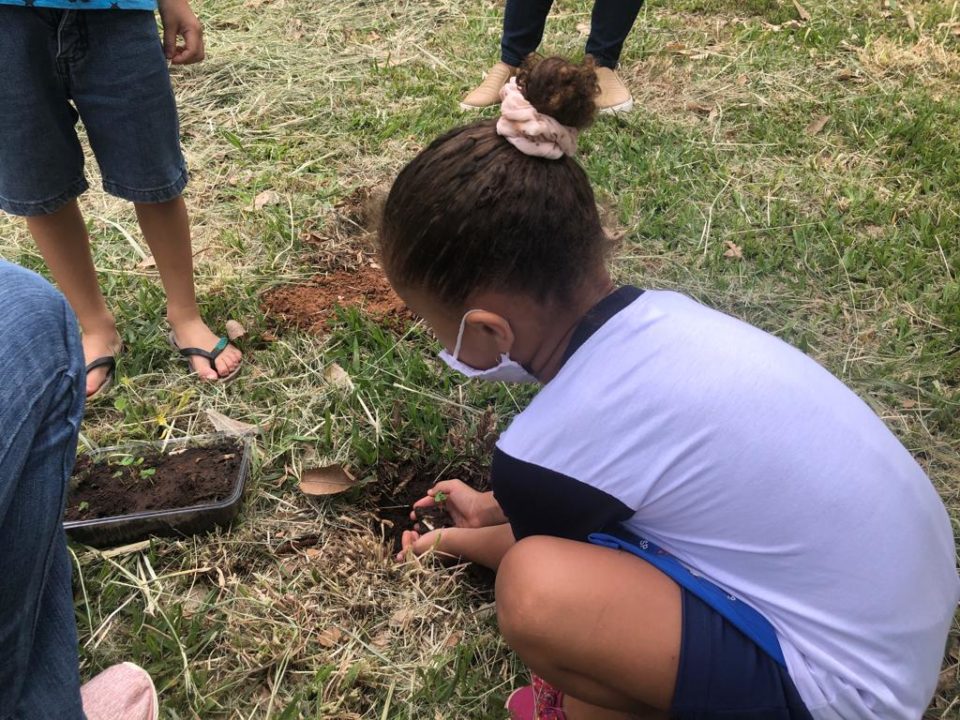 Emei 1, 2 Feijão com Arroz realiza o primeiro plantio de Ipês Amarelos