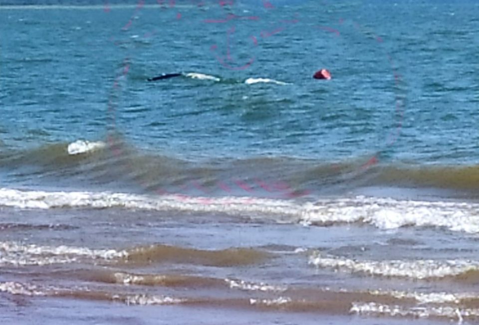 Homem morre afogado após barco virar no Rio Tietê