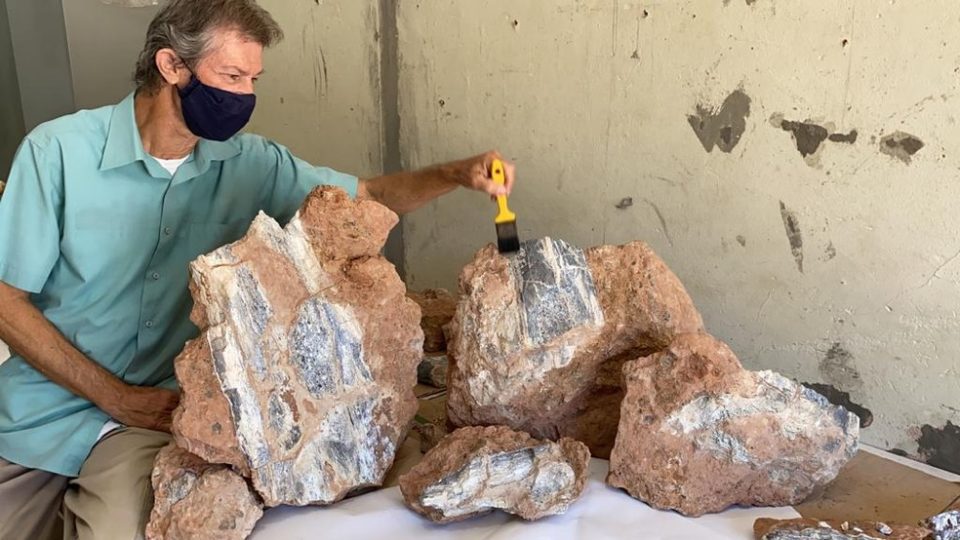 Novo fóssil de dinossauro é encontrado em rodovia