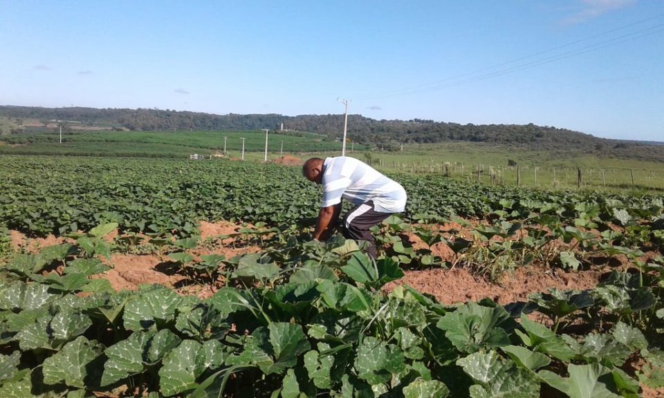 Justiça determina que prefeito e seguranças saiam de assentamento