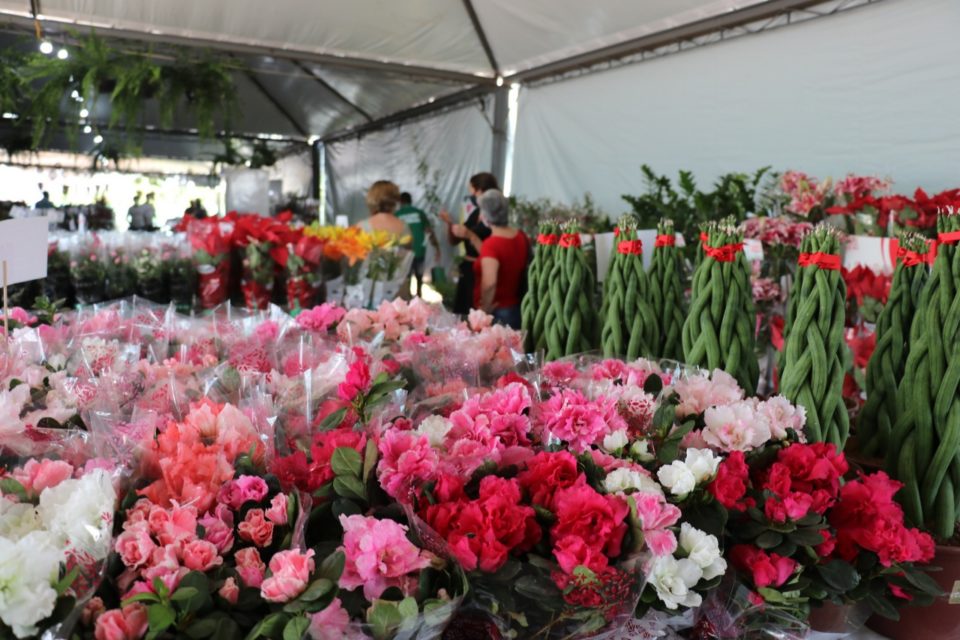 Expoflor prossegue até o próximo domingo