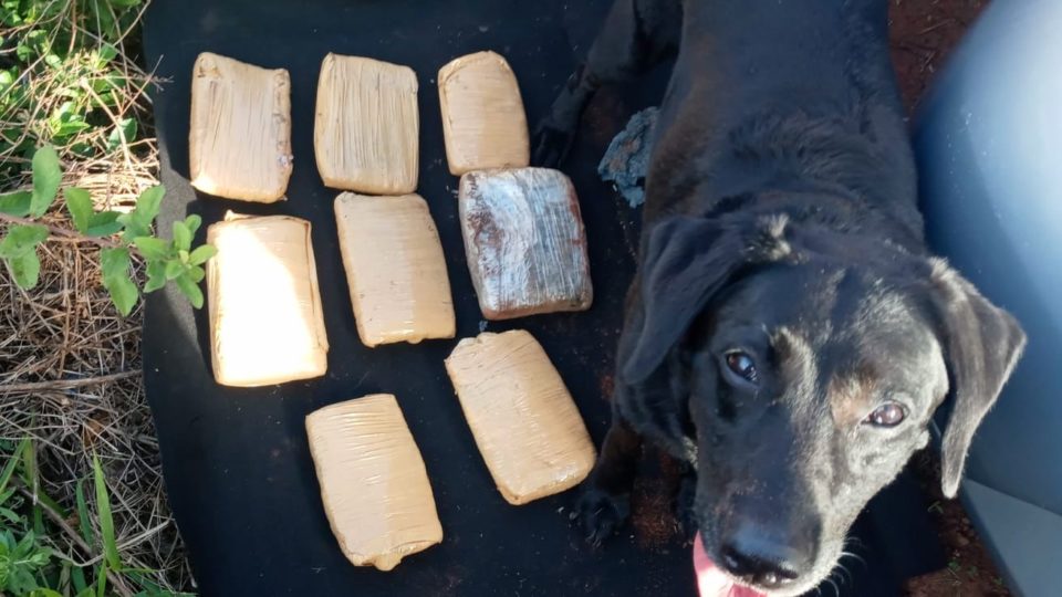 Baep encontra drogas em carro apreendido pela PF