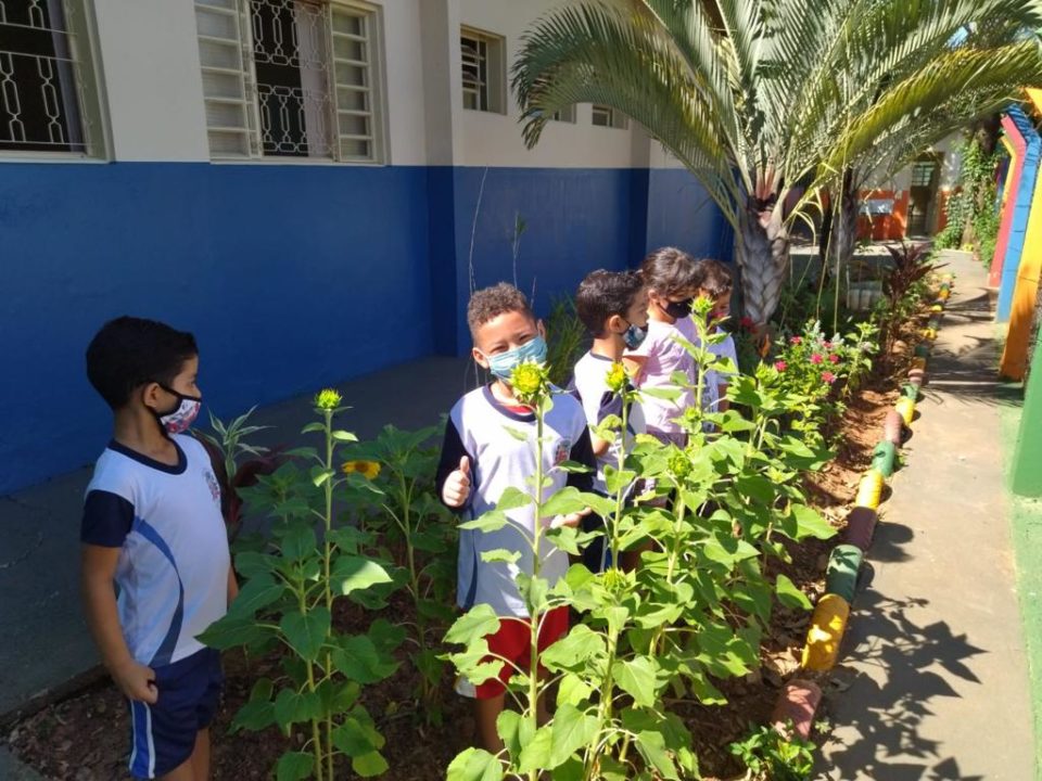 Emei Pingo de Gente desenvolve projeto ‘O Sol Brilha Amarelo’