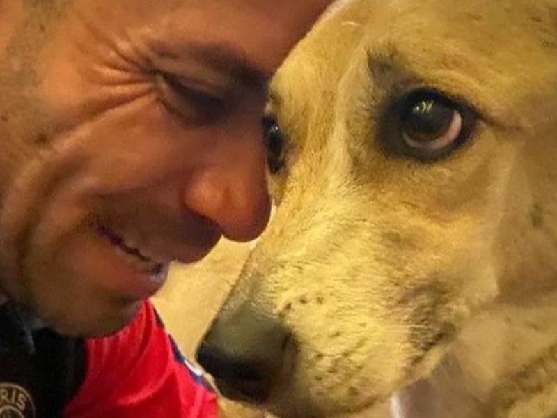 Cachorra é encontrada e devolvida ao dono após 45 dias