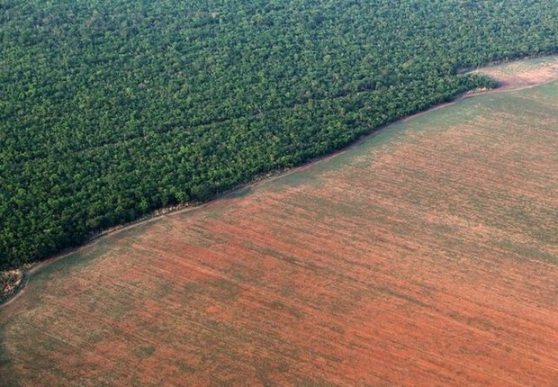 Janeiro registra 430 km² de desmatamento na Amazônia