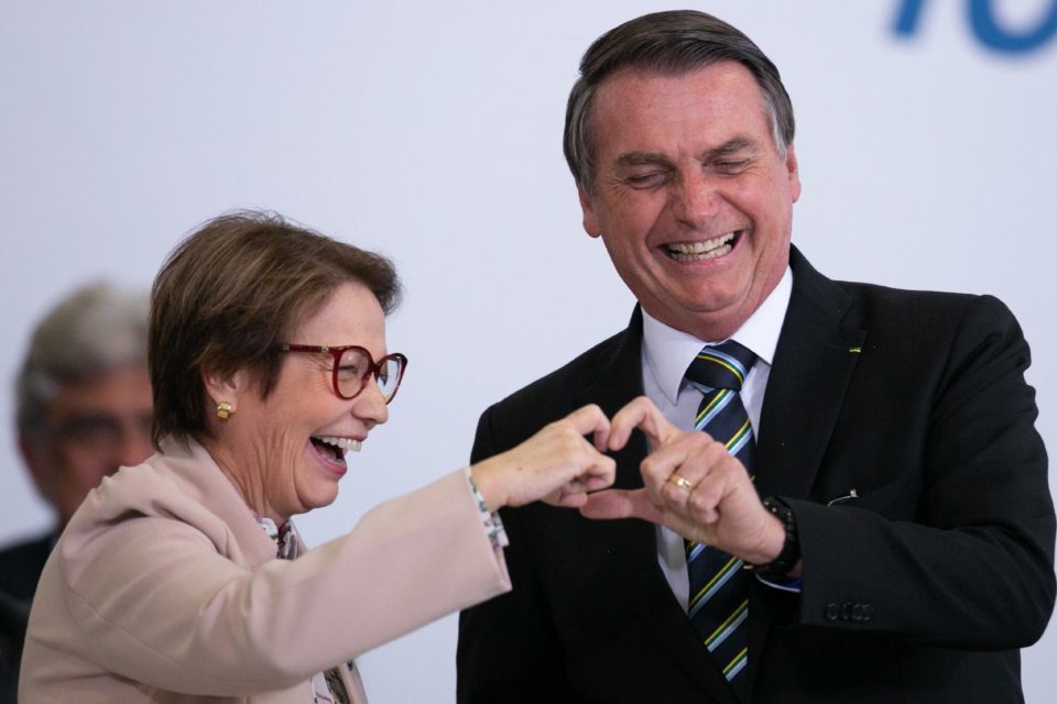 Centrão pressiona Bolsonaro a escolher Tereza como vice