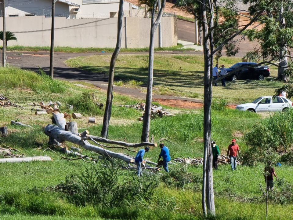 Corte de árvores tira área de lazer de moradores em bairro