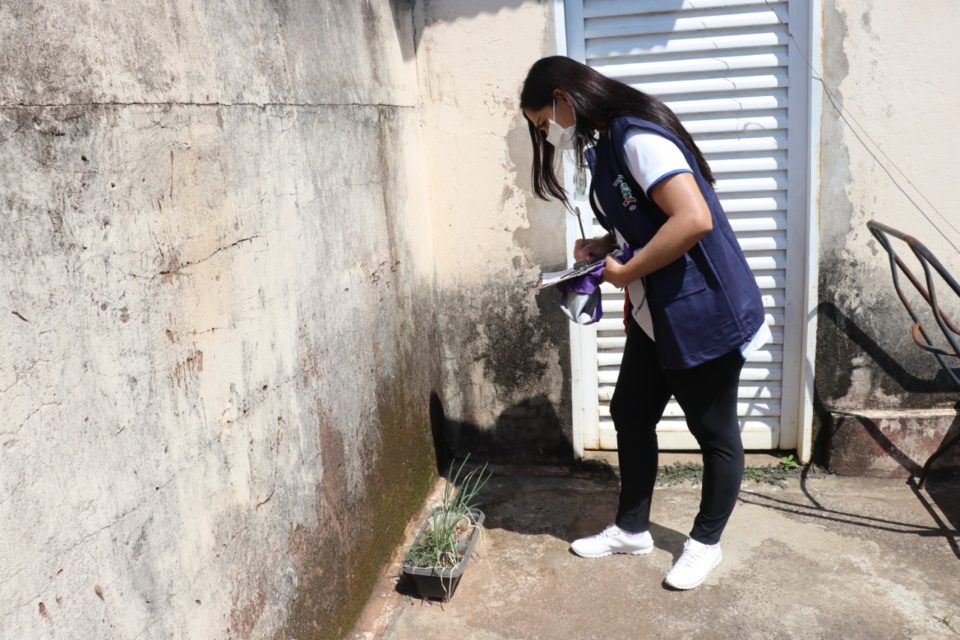 Zoonoses realiza 5ª ação conjunta contra a dengue