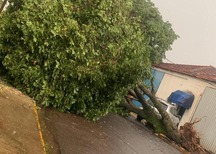 Chuva provoca dano e queda de energia em Pompeia