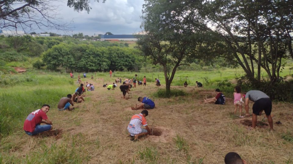 Projeto Sangue Bom planta 250 árvores no Jardim Julieta