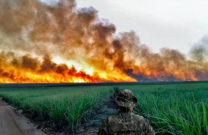 Polícia Ambiental faz operação contra focos de incêndio