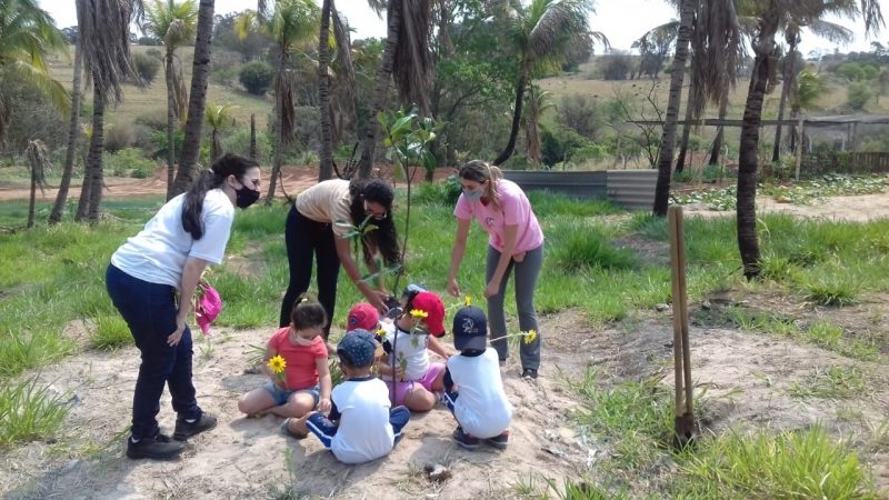 Projeto planta mais de mil árvores em apps de Marília