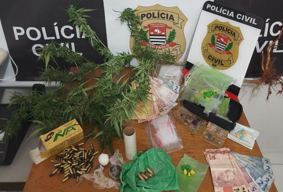 Dise encontra pé de maconha e prende jovem na zona Sul