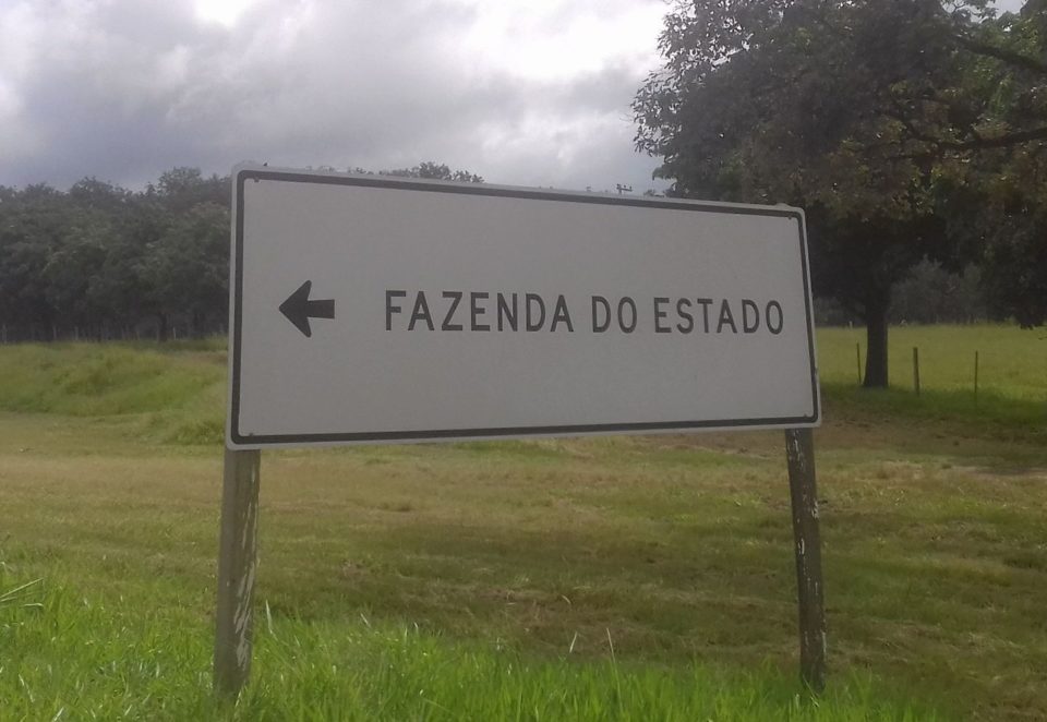 Moradores da Fazenda do Estado reclamam de segurança