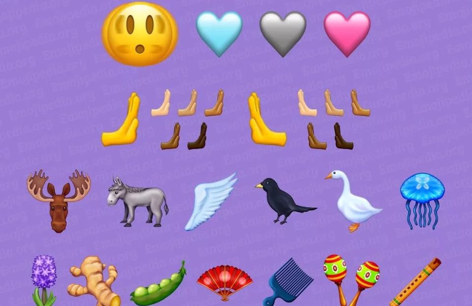 Nova atualização vai liberar emojis de ganso, de burro e toca aqui