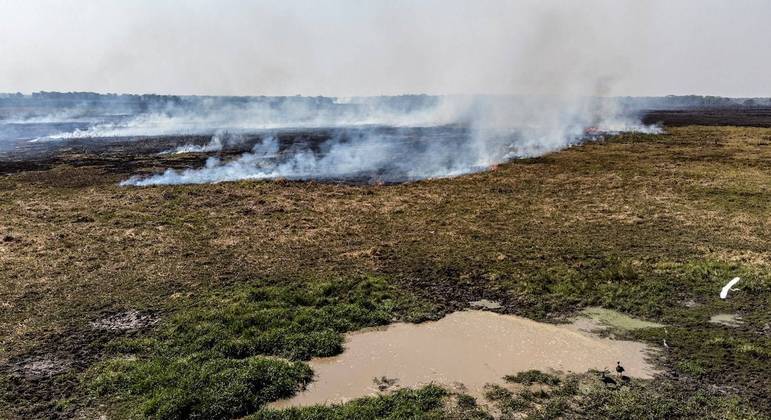 Estiagem põe em emergência 14 cidades do Pantanal em MS