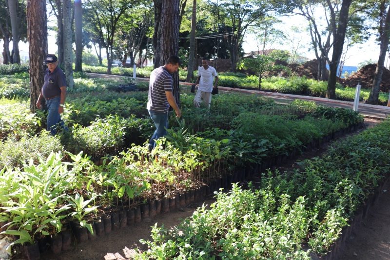 Intenso trabalho ambiental garante certificação VerdeAzul para Marília