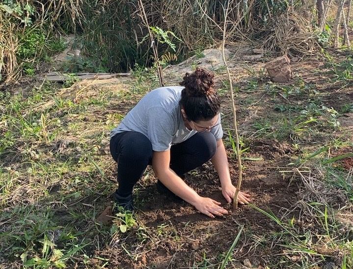 Meio Ambiente recupera mais duas nascentes na zona Norte