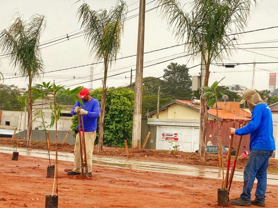 Meio Ambiente promove plantio em praça do Continental