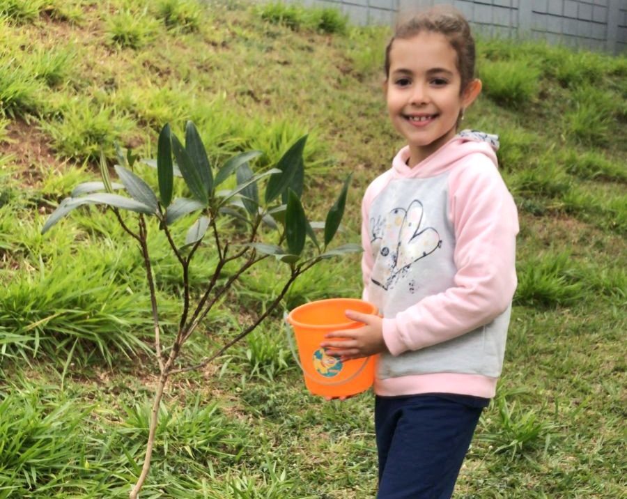 Emef Edméa Sola adere ao programa Minha Escola é Verde