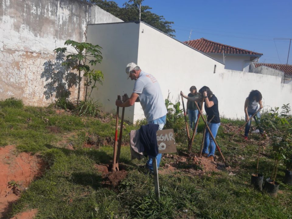 Unimed e Meio Ambiente realizam plantio no Centro