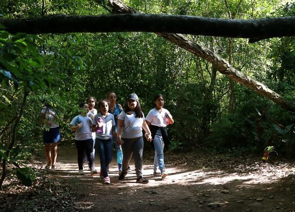 Bosque de Garça volta a ser aberto para visitação