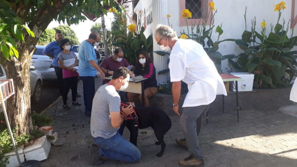 Vacinação antirrábica acontece este mês em Marília