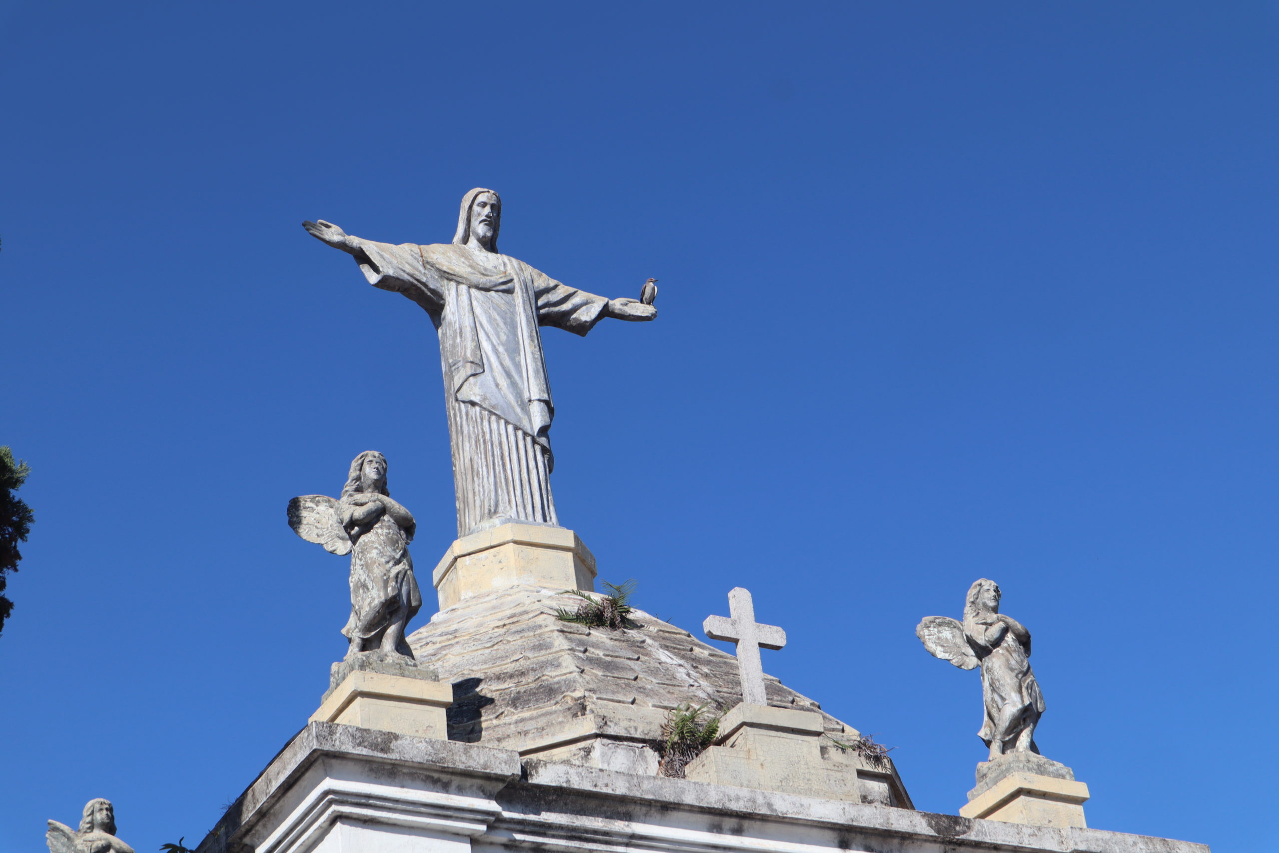 Região de Marília tem extensa programação de missas para o Dia de Finados