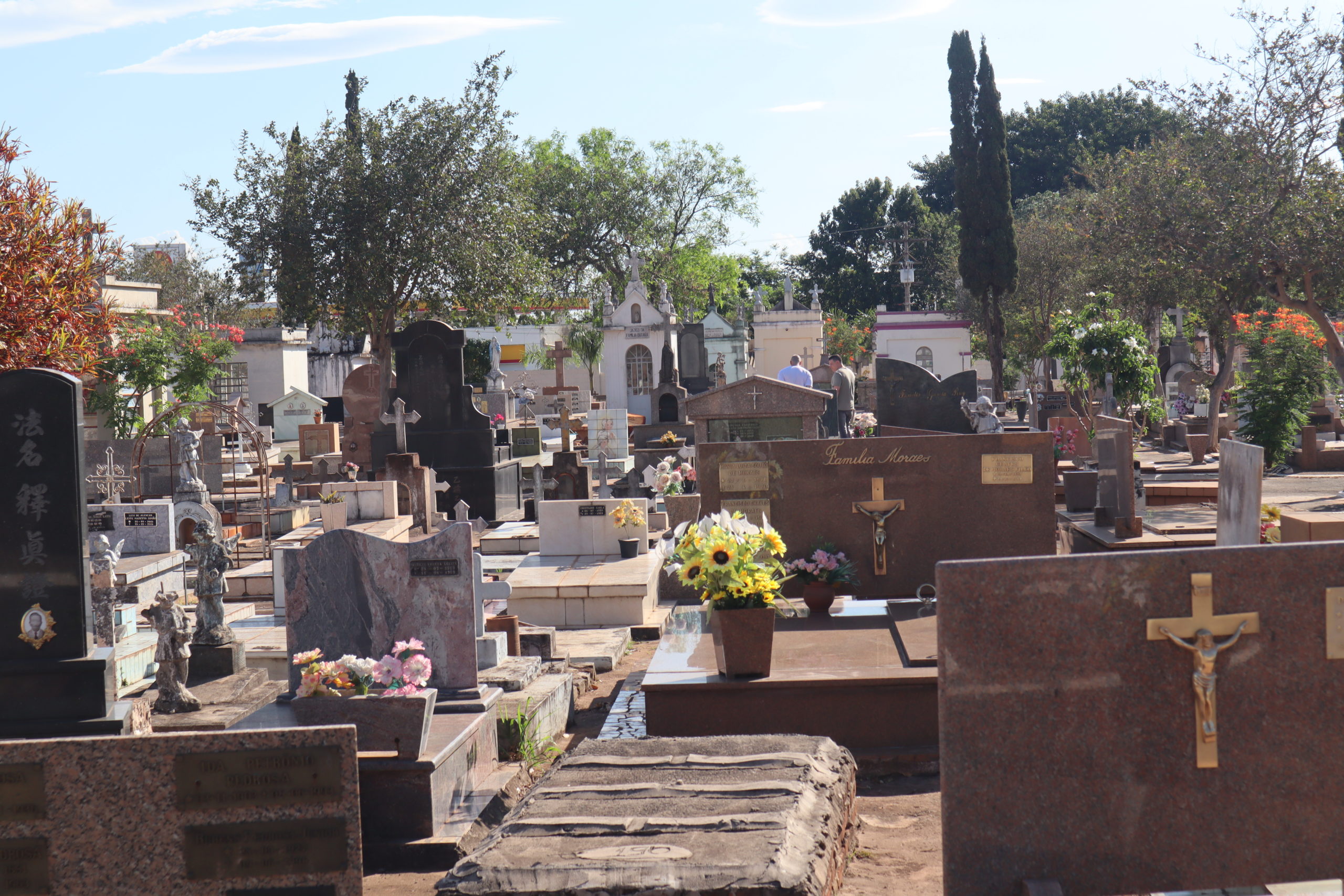 Marília avança em projeto que permite sepultamento de pets com tutores