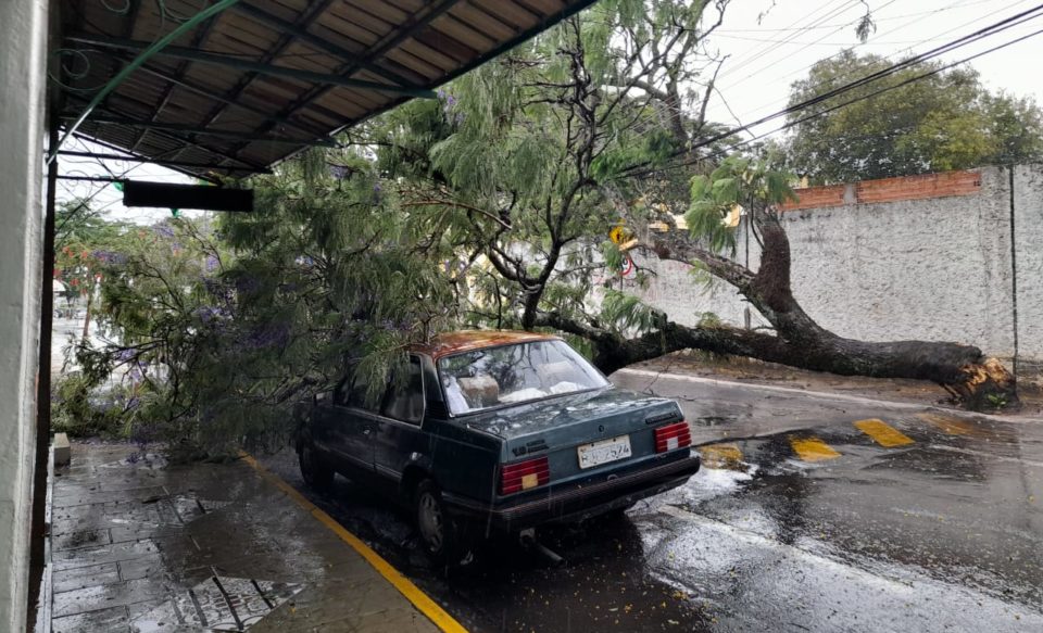 Tempestade causa estragos em diversos pontos de Marília